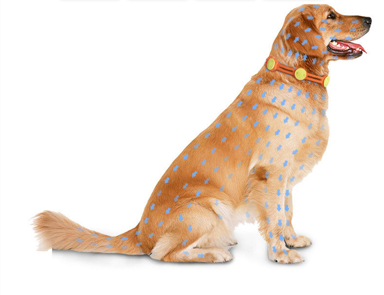 NexPaw ShieldBand™ – Advanced Flea & Insect Repellent Collar